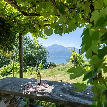 Rainsford * Tenero-Contra