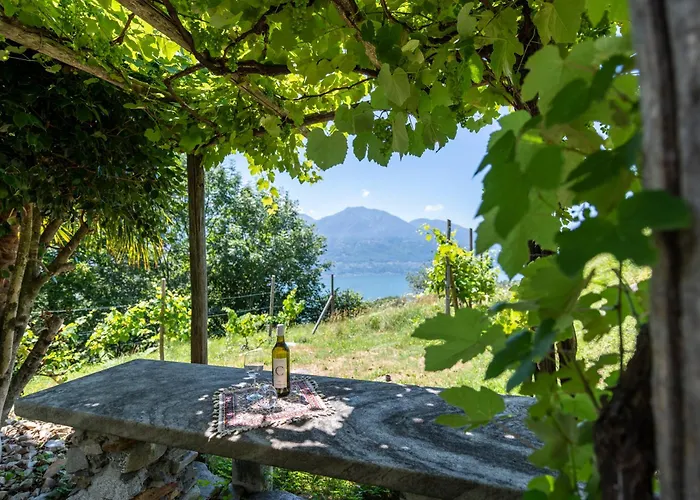 Rainsford * Tenero-Contra